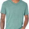 Mens Venice Burnout V Neck Tee