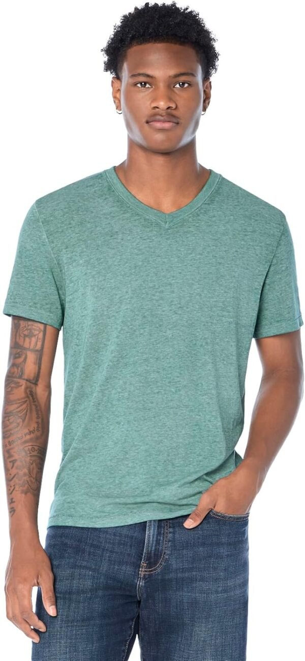 Mens Venice Burnout V Neck Tee
