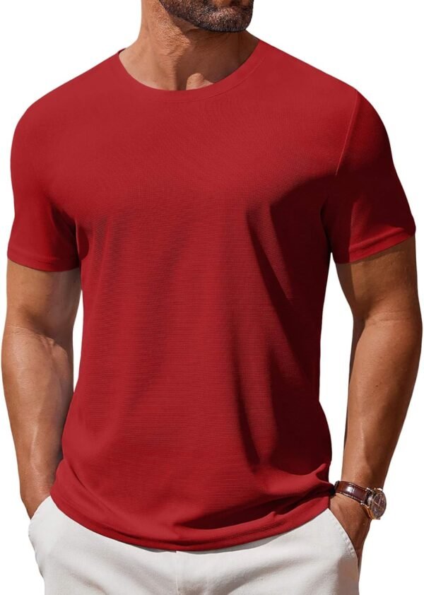 81Aytp-ZHnL._AC_SL1500 Men's T Shirt Short Sleeve Crew Neck T-Shirt Casual Summer Classic Basic Tee Shirts