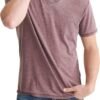 Mens Venice Burnout V Neck Tee