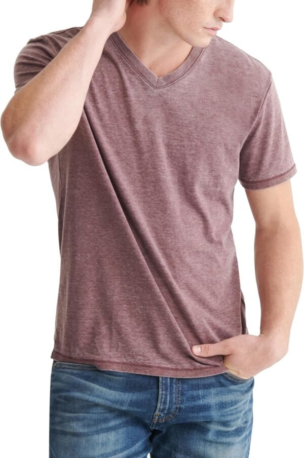 Mens Venice Burnout V Neck Tee