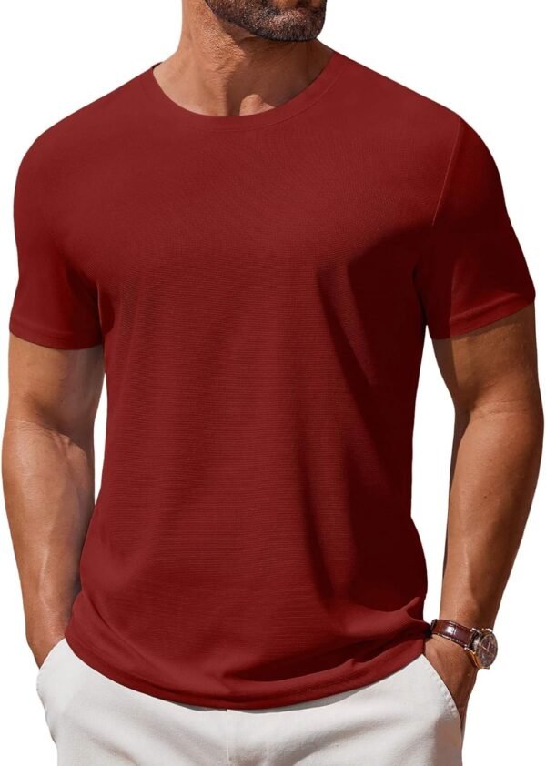 81bg6H2inDL._AC_SL1500 Men's T Shirt Short Sleeve Crew Neck T-Shirt Casual Summer Classic Basic Tee Shirts