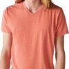 Mens Venice Burnout V Neck Tee