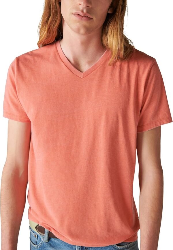 Mens Venice Burnout V Neck Tee