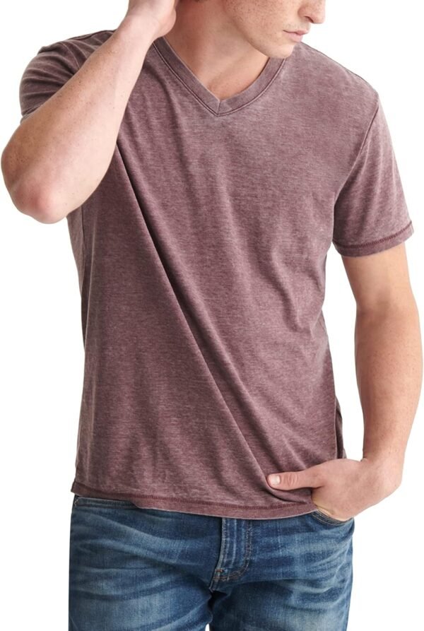Mens Venice Burnout V Neck Tee